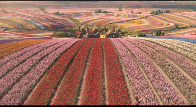 영화 위키드 정보