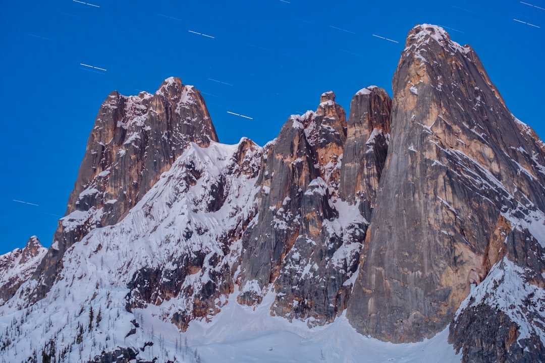 청와대 관람 예약: 쉽고 빠르게 관람하는 방법 관련 이미지 2