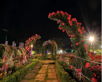 곡성 장미축제_33