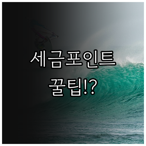 국민비서 세금포인트 조회 방법과 사용..