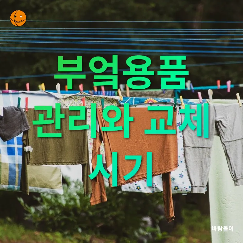 수제청 만들기_3