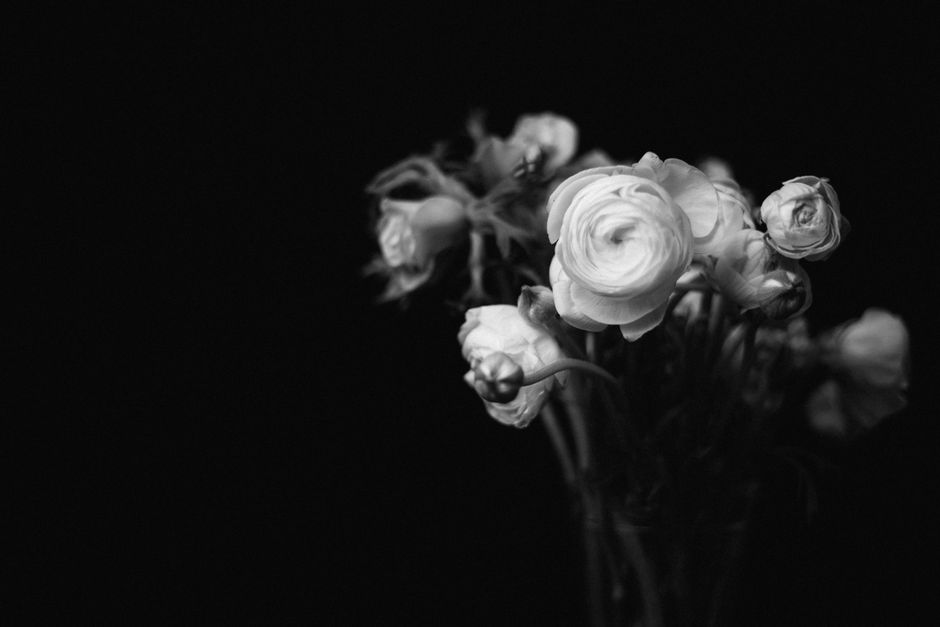 A captivating grayscale image of a ranunculus bouquet in full bloom.