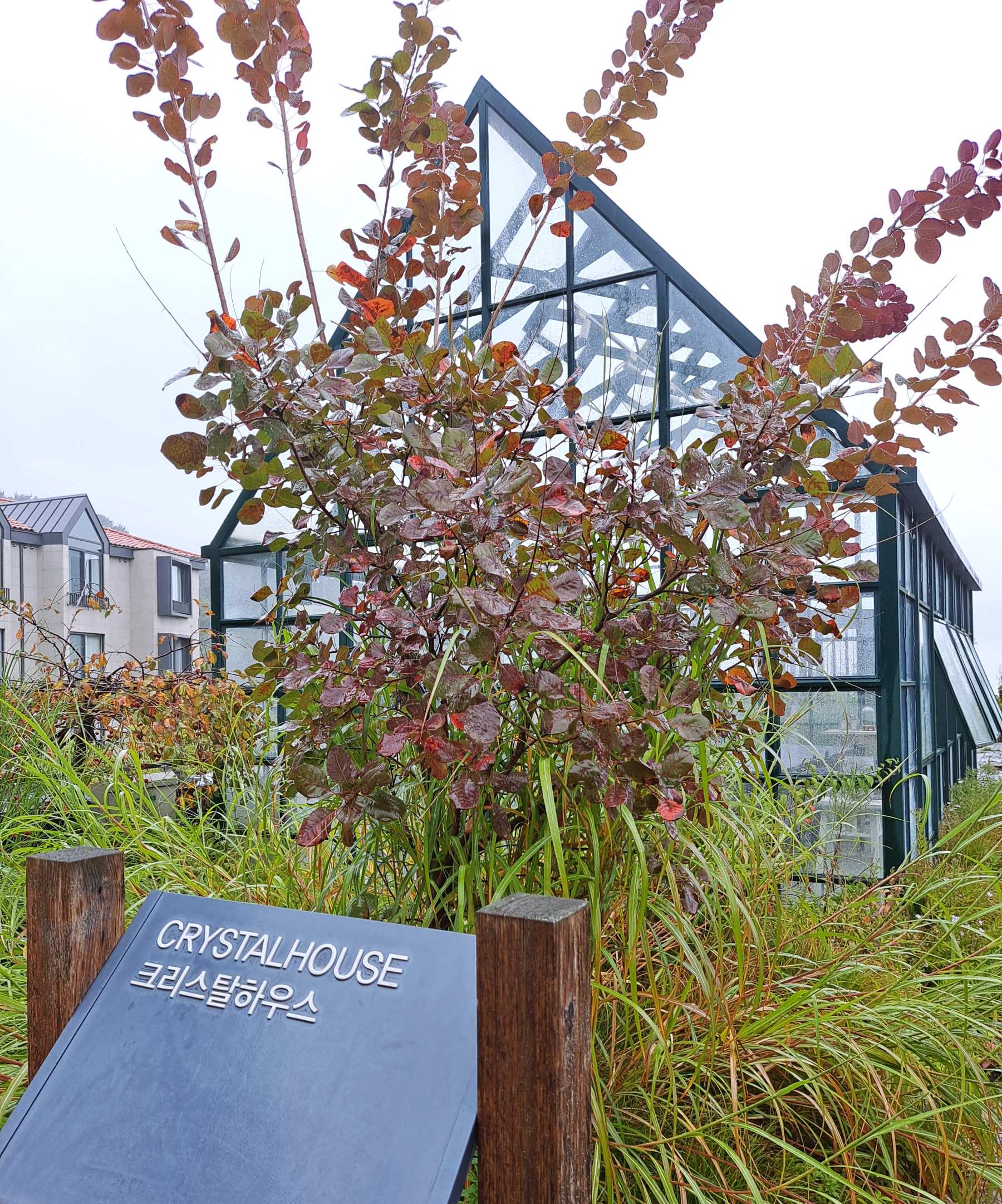 에덴낙원 크리스탈하우스