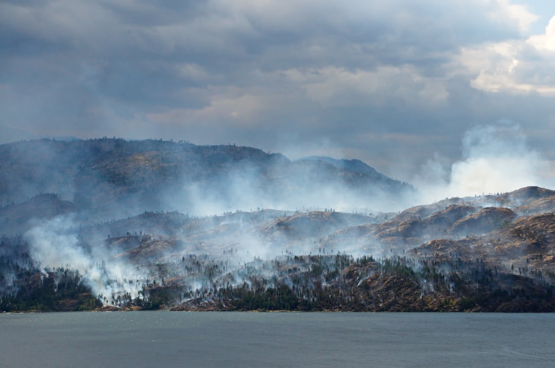 Wildfire