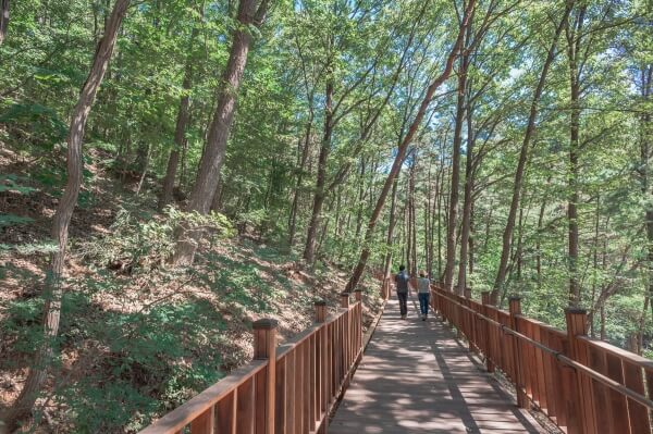 태학산 자연휴양림 산책코스