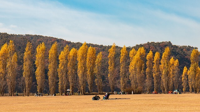 강원도 가볼만한곳 베스트10