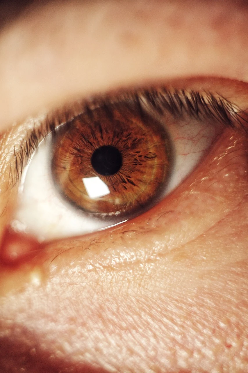 안경 도수 자주 바뀌는 이유