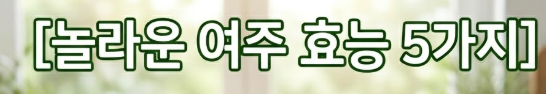 여주 효능