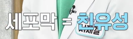 리포좀 비타민c