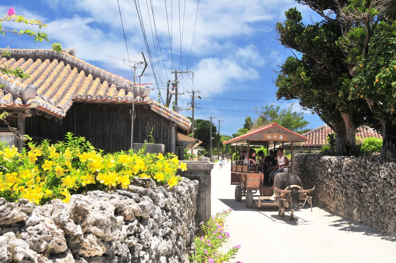Okinawa_island_tour