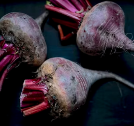 비트 효능 및 부작용 먹는 방법 칼로리 소변색