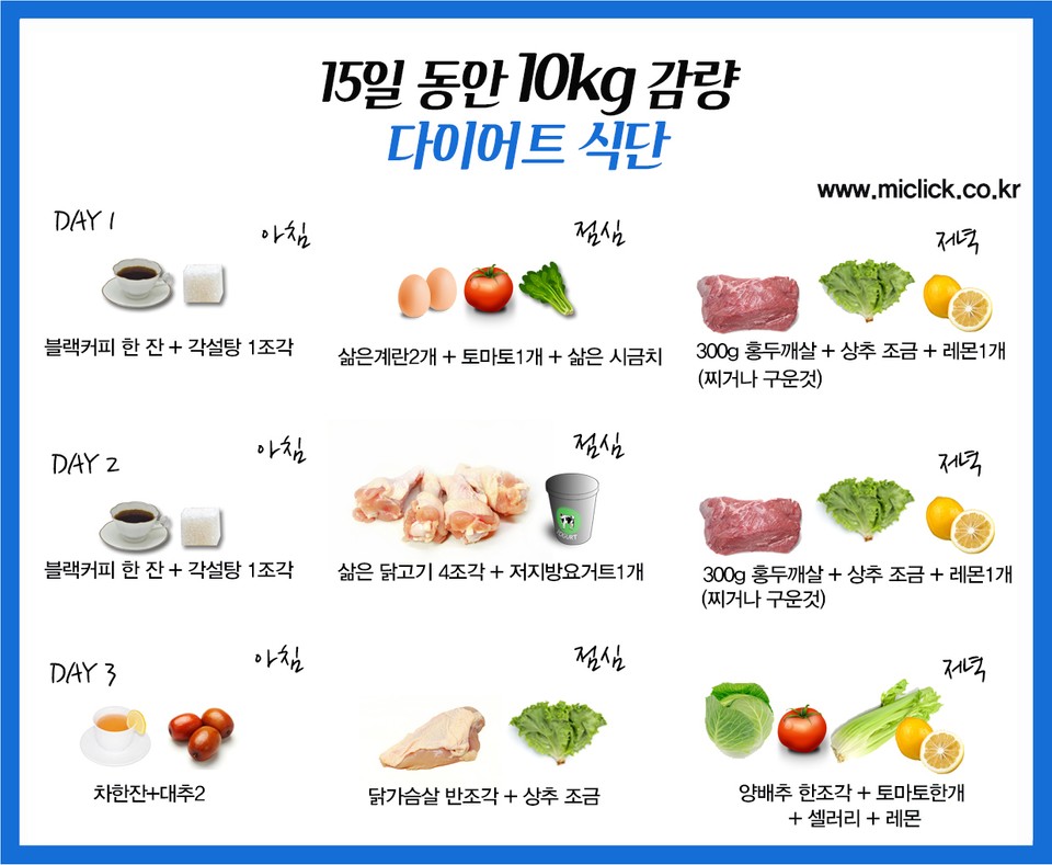 다이어트식단표