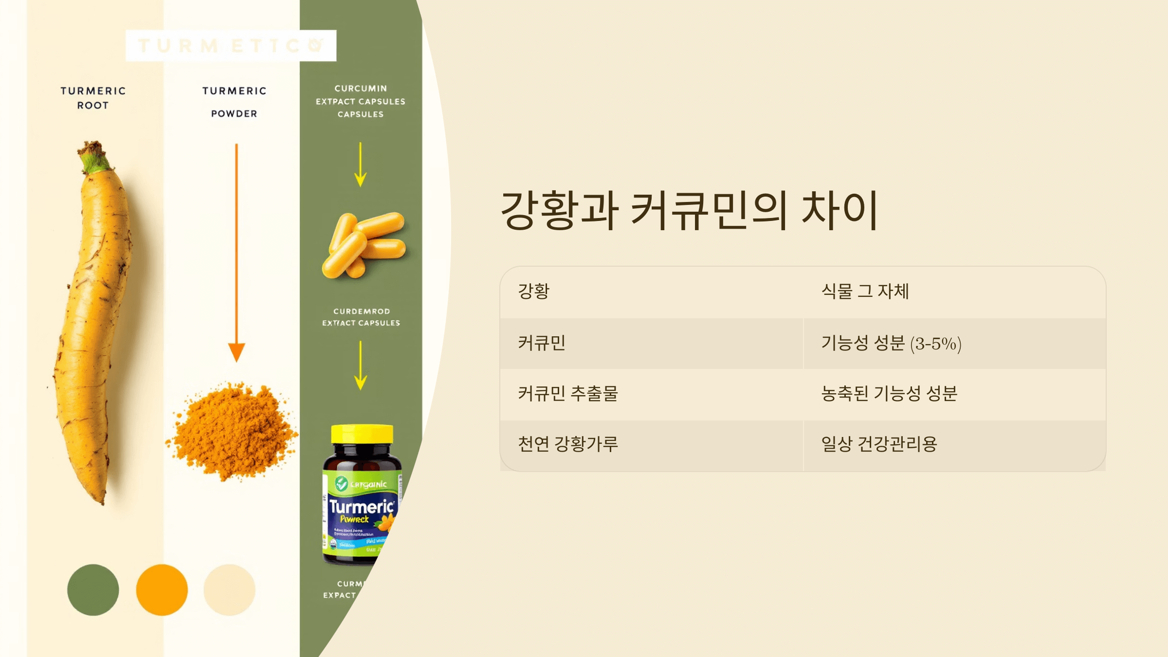 강황가루 사진입니다.