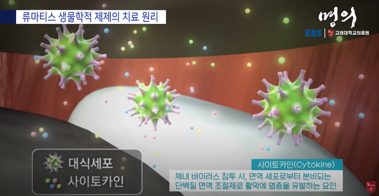 류마티스 생물학적 제제의 치료원리