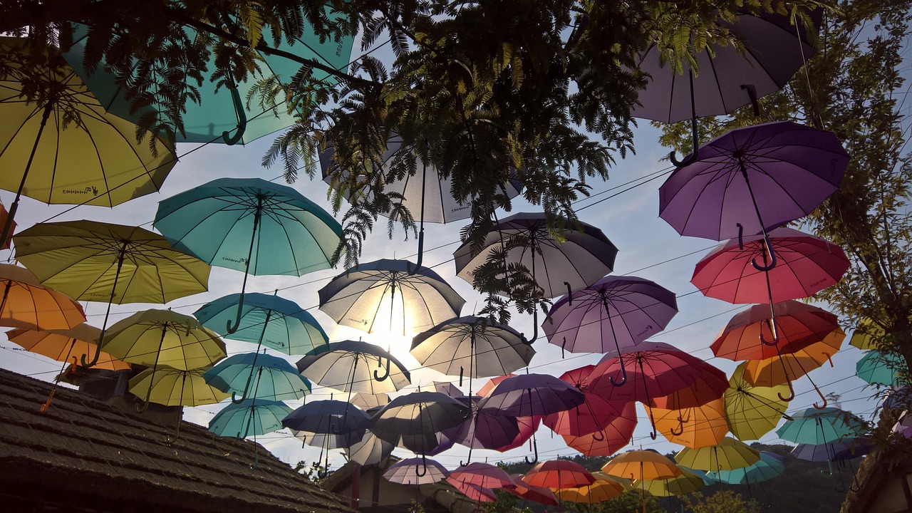 테마파그 관련 사진