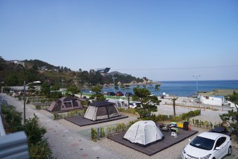 삼척 장호비치캠핑장