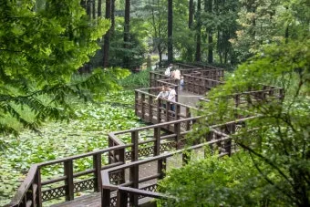 걷기 좋은 명품 숲길 50선 전국 서울 경기_7