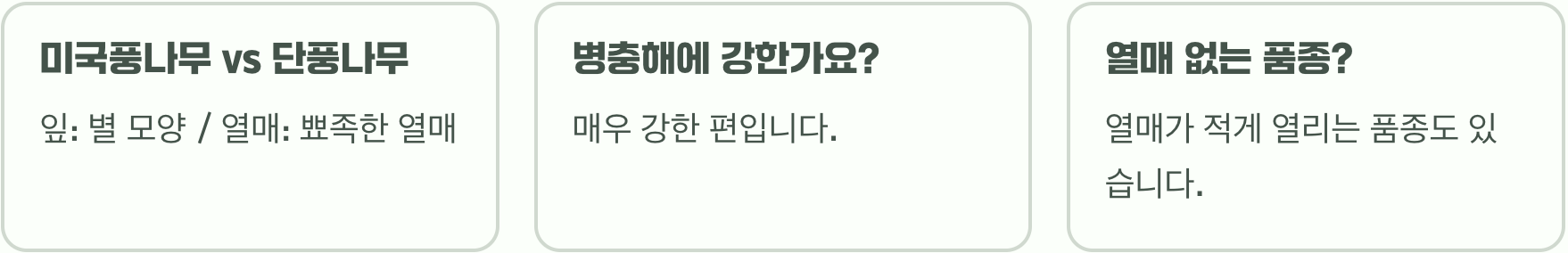 정원수로 미국풍나무 키우기, 실패하지 않는 5가지 비결