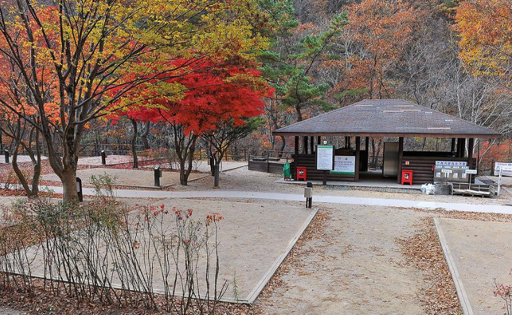 소백산 남천 캠핑장 모습