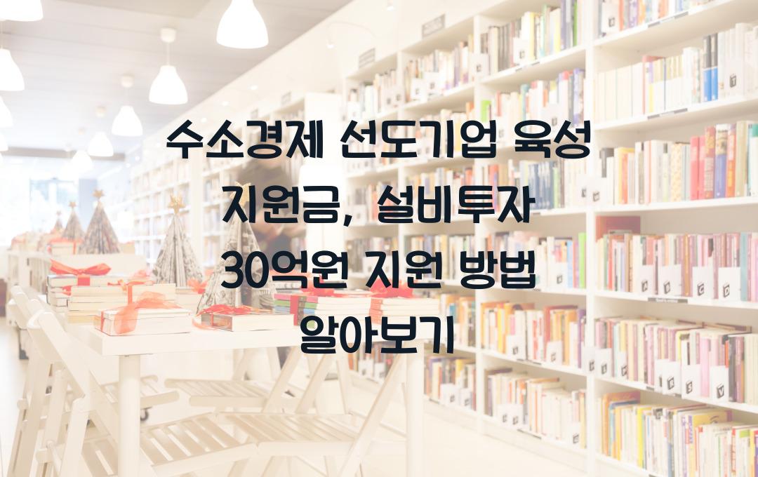 수소경제 선도기업 육성 지원금, 설비투자 비용 최대 30억원 지원 방법
