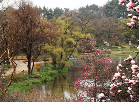 4월 축제 하는곳