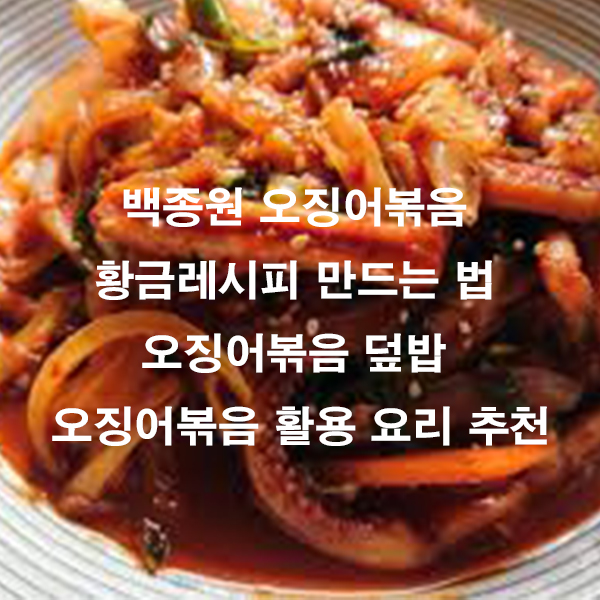 백종원 오징어볶음 황금레시피 만드는 법 오징어볶음 덮밥 오징어볶음 활용 요리 추천