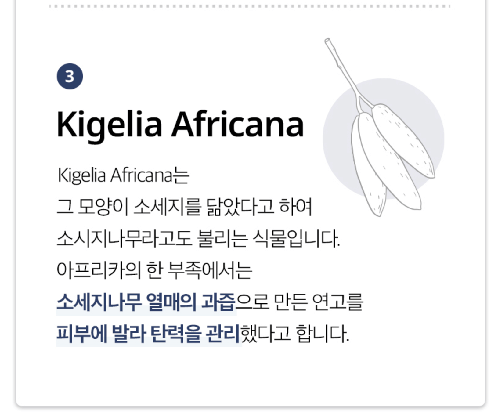왕자크림-성분