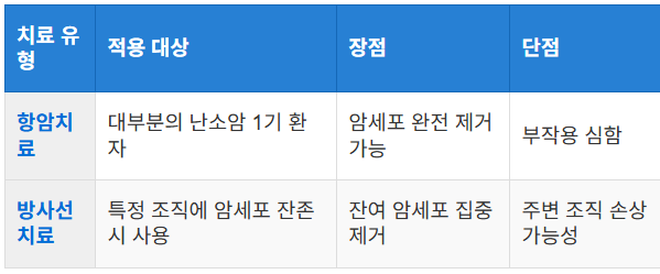 항암 및 방사선 치료