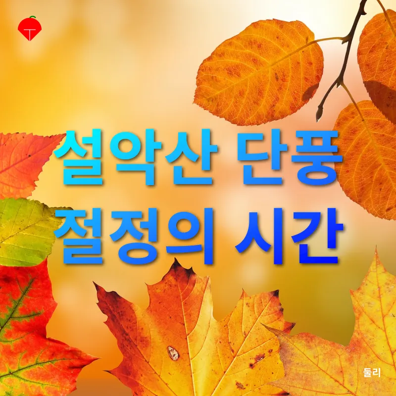 설악산 단풍_1