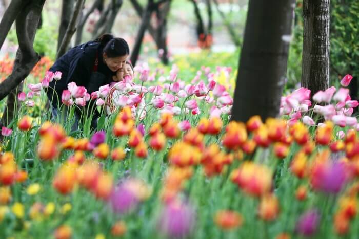 2023 어린이날 행사 (서울&#44;경기&#44;부산&#44;아산)