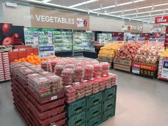 롯데프레시 영업시간 마포점 광주하남점_22