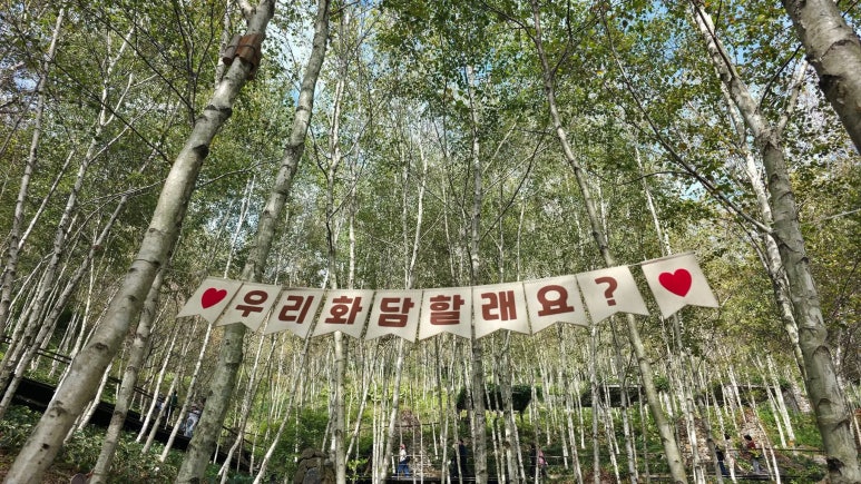 화담숲 단풍시기 예약 단풍명소