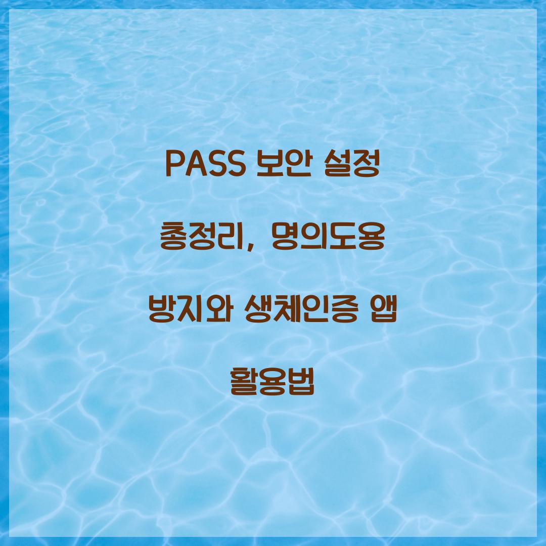 PASS 보안 설정 총정리: 명의도용 방지부터 생체인증까지