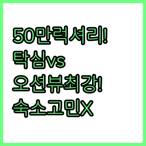 50만원대 럭셔리 탁심 호텔 가성비 ..