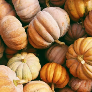 단호박 효능 부작용 영양성분 고르는법 칼로리