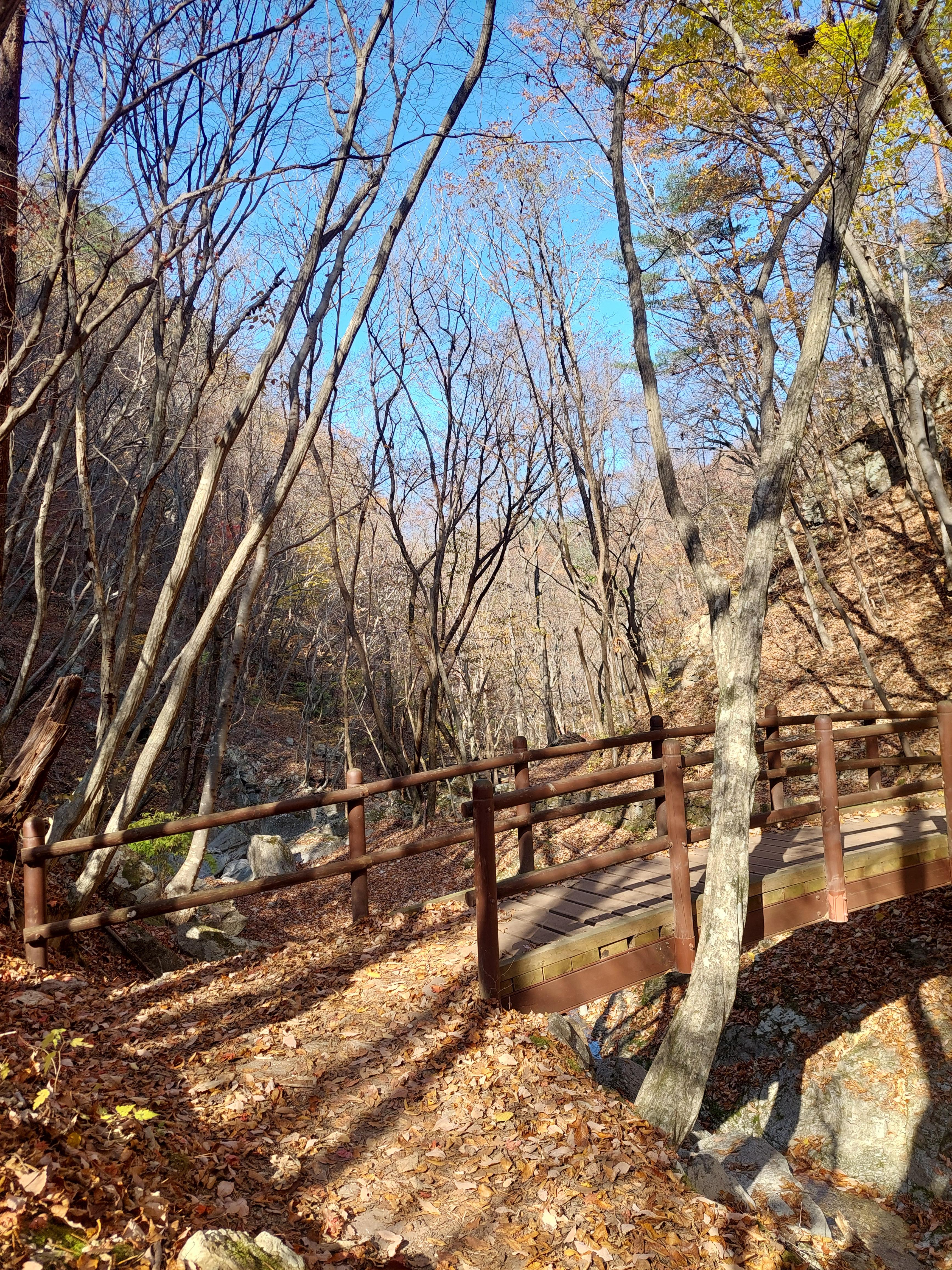 주왕산