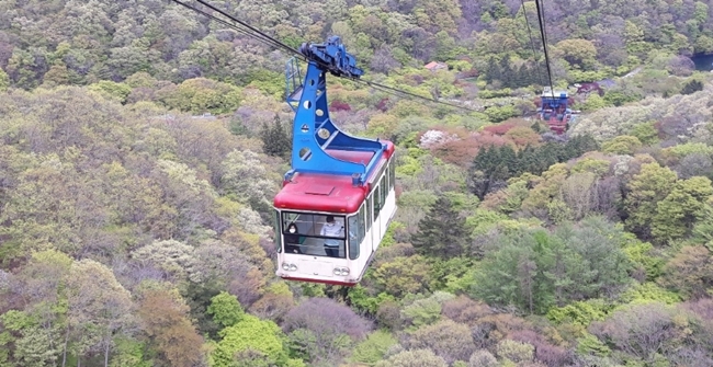 내장산-케이블카