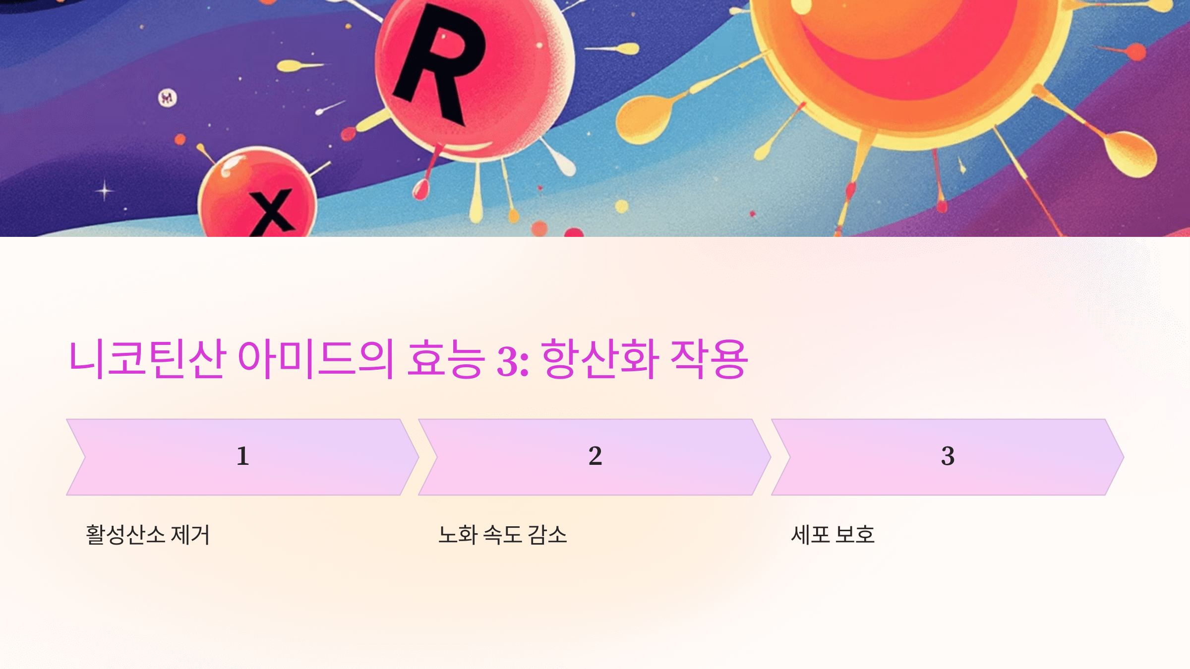 니코틴산 아미드와 관련된 사진입니다.