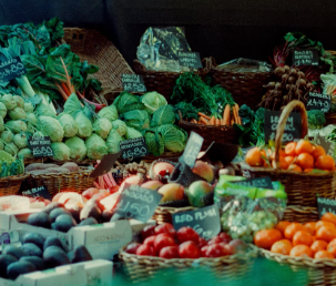 콩나물 효능 부작용 숙취 칼로리