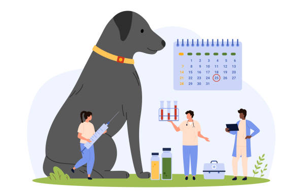 강아지 예방 접종 시기 썸네일