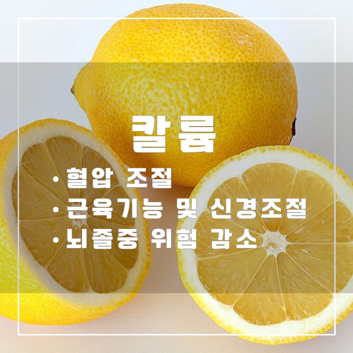 레몬-칼륨의 효능