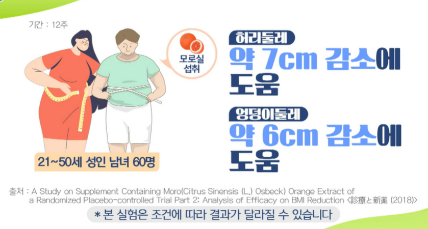 모로실 효능