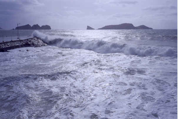 재난 보험 vs 자연 재해 보험 차이 총정리