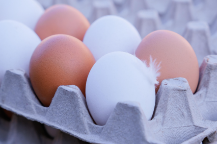 달걀 유통기한과 소비기한 차이, 헷갈리지 않게 정리해볼게요