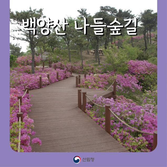 [명품 숲길 50선] 부산 백양산 나들숲길 : 전망&middot;숲&middot;역사가 어우러진 길