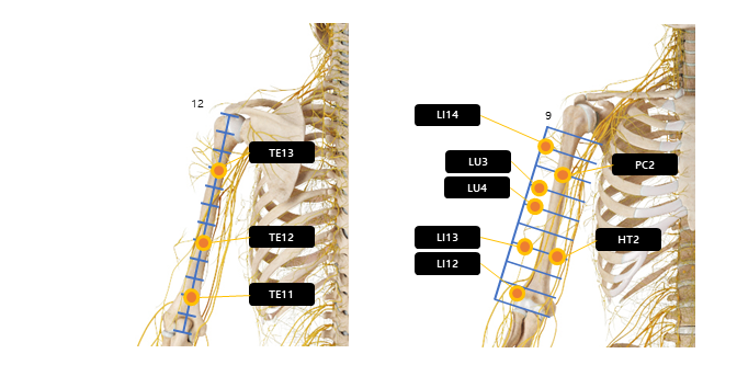 위팔 상완 주변 혈자리 요약