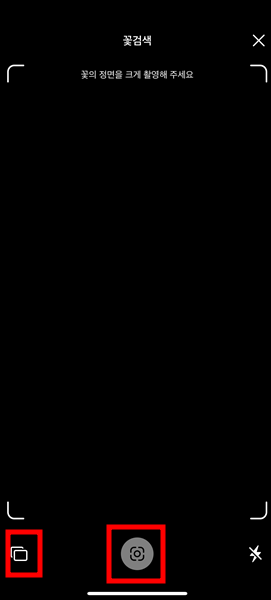 꽃검색4