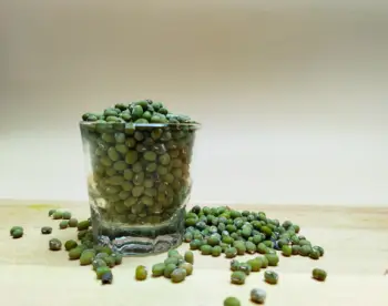 녹두 효능 및 영양성분,녹두 가격