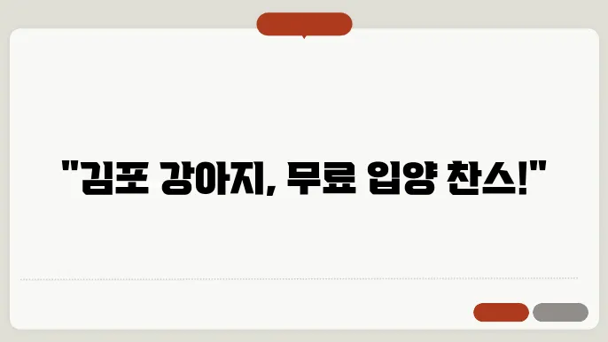 입양 후 강아지 관리 이미지