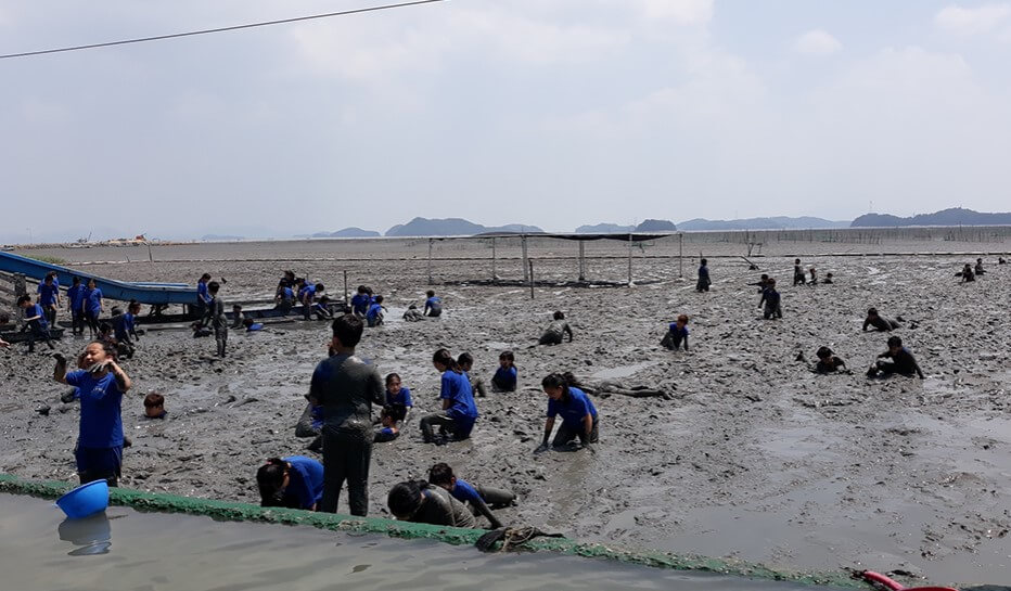 순천 가볼만한 곳 베스트10